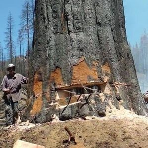 Meet your Posher, Tim